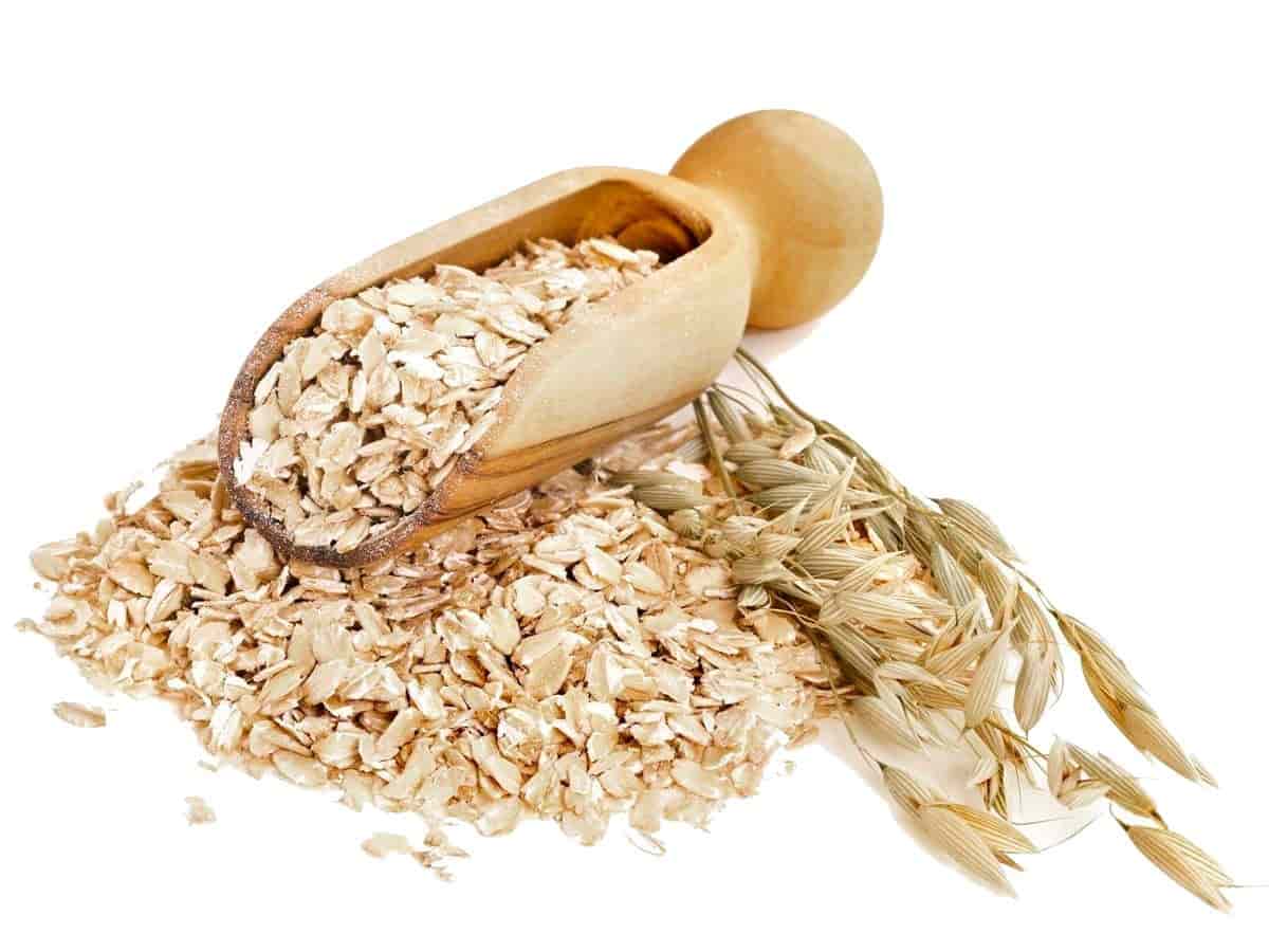 تصویر 2 از قیمت خرید بلغور جو دو سر پرک + فروش ویژه